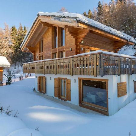 Chalet Asphodel Nendaz Exterior foto