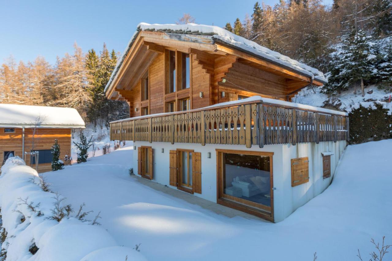 Chalet Asphodel Nendaz Exterior foto